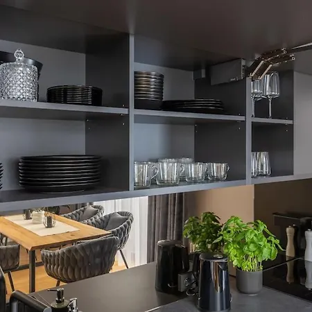 Luxurious Penthouse With Parking 리가